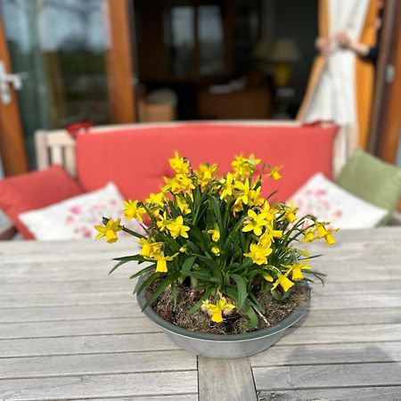 Hestar Husid, Het Luxe Paardenhuis 비스프 외부 사진